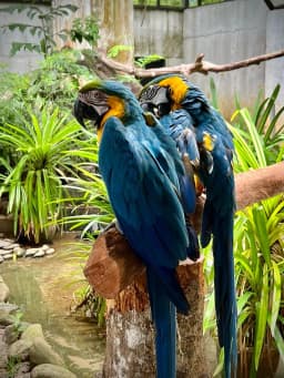 Langkawi 3D2N